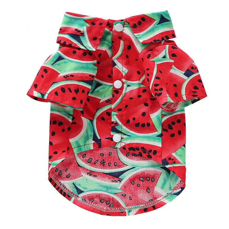 Fruit-themed casual polyester dog clothes in six colours on a small dog, size S to XL available