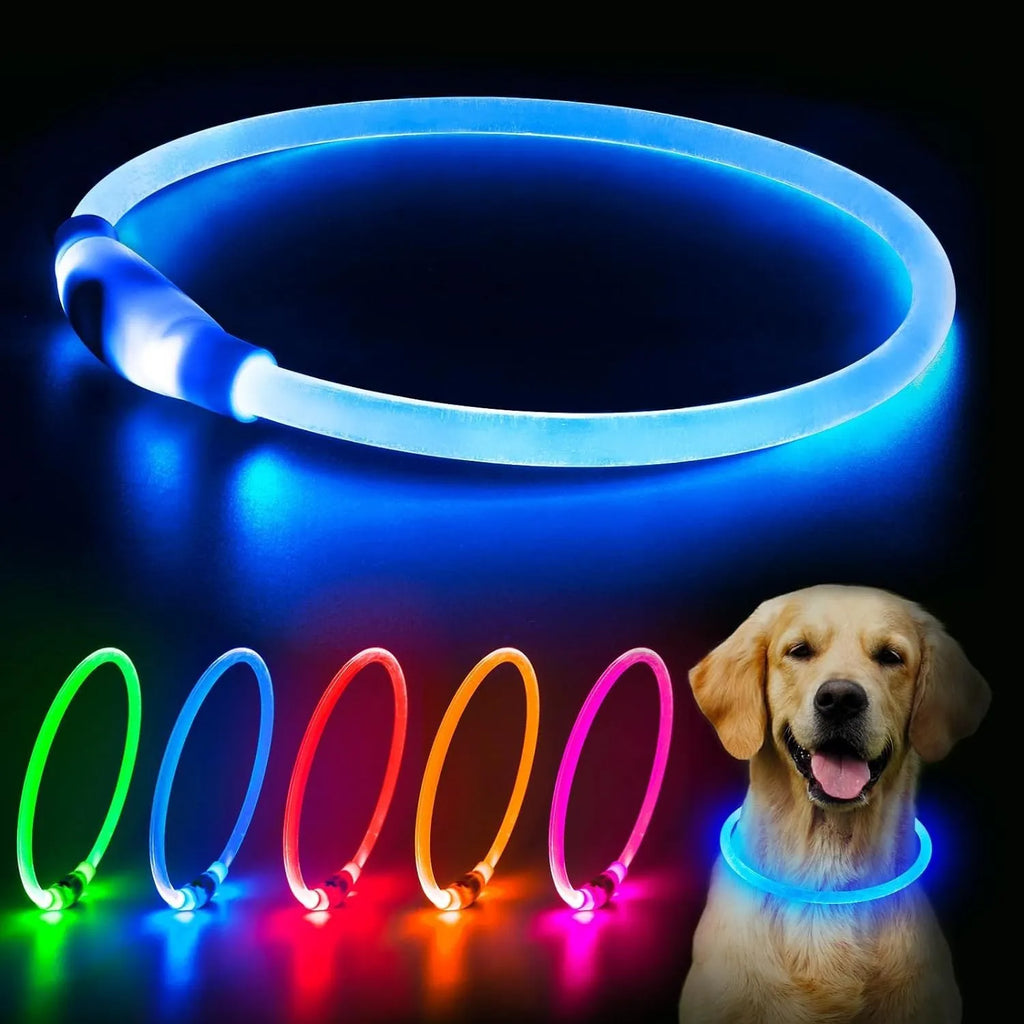 Blue USB rechargeable LED dog collar glowing in the dark on a dog's neck.