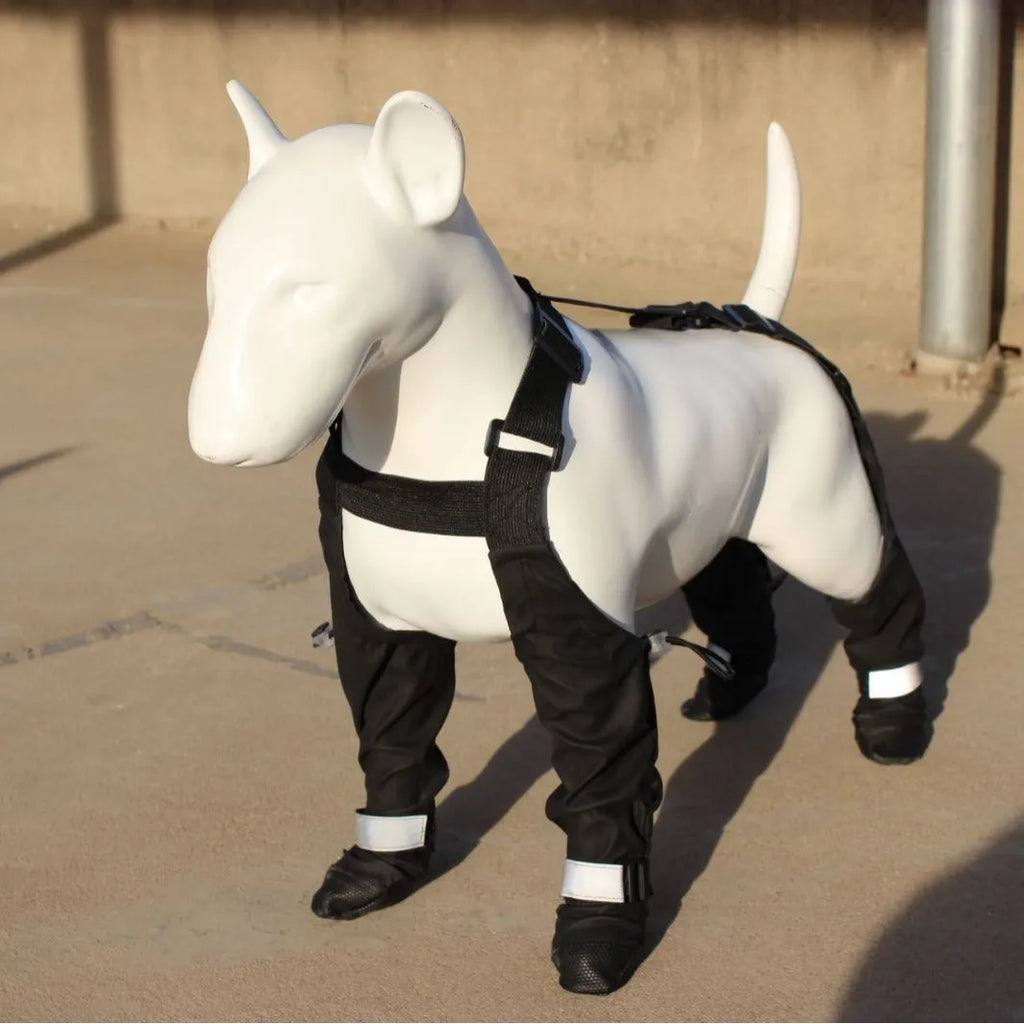 Black waterproof dog shoes with non-slip soles and strap design for paw protection