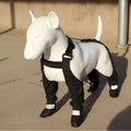 Black waterproof dog shoes with non-slip soles and strap design for paw protection