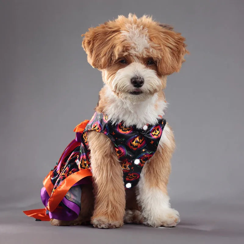 Colourful Halloween dog skirt with pumpkin and skull prints in sizes S M L XL