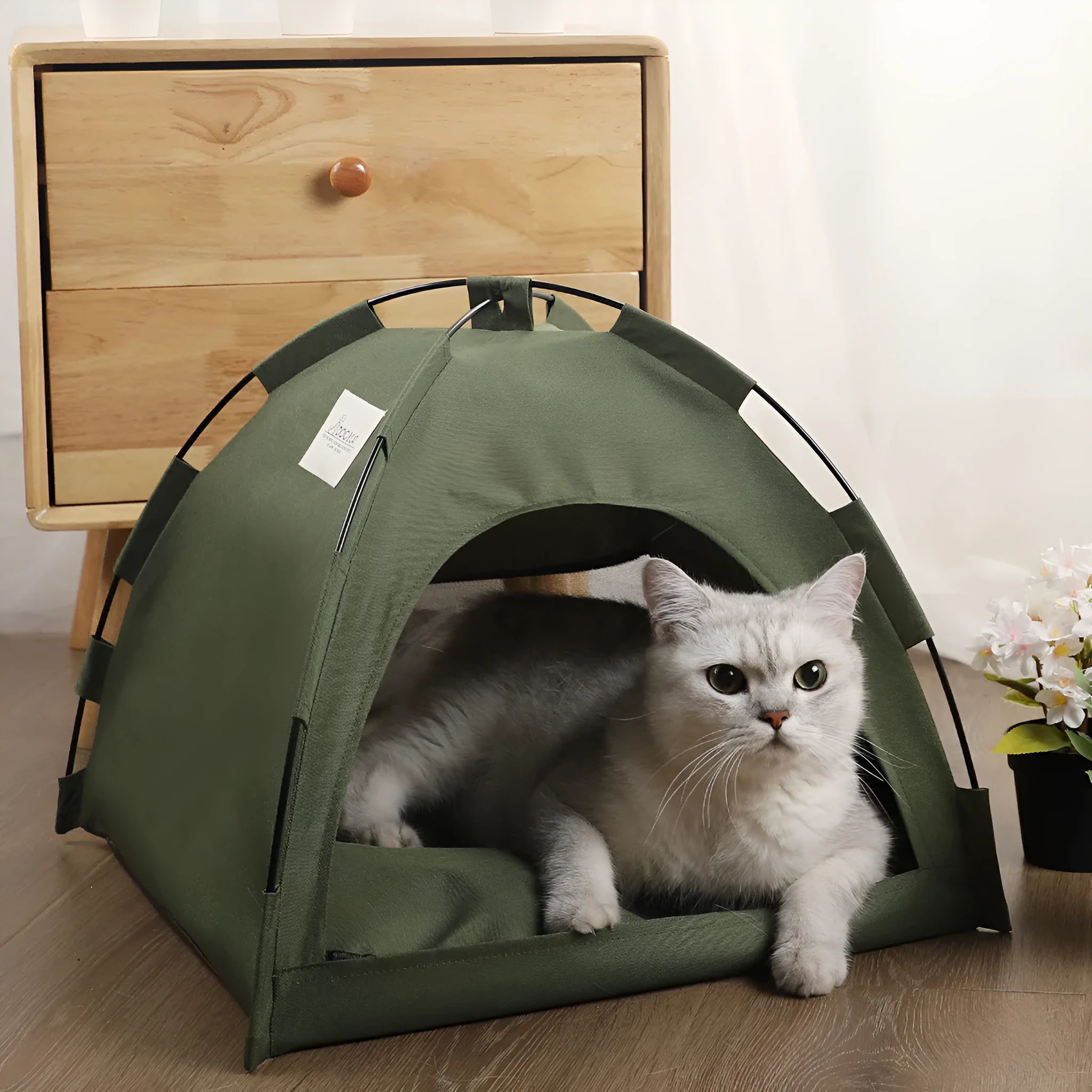 Pet nest with cushion in Military Green set for small dogs and cats portable lightweight