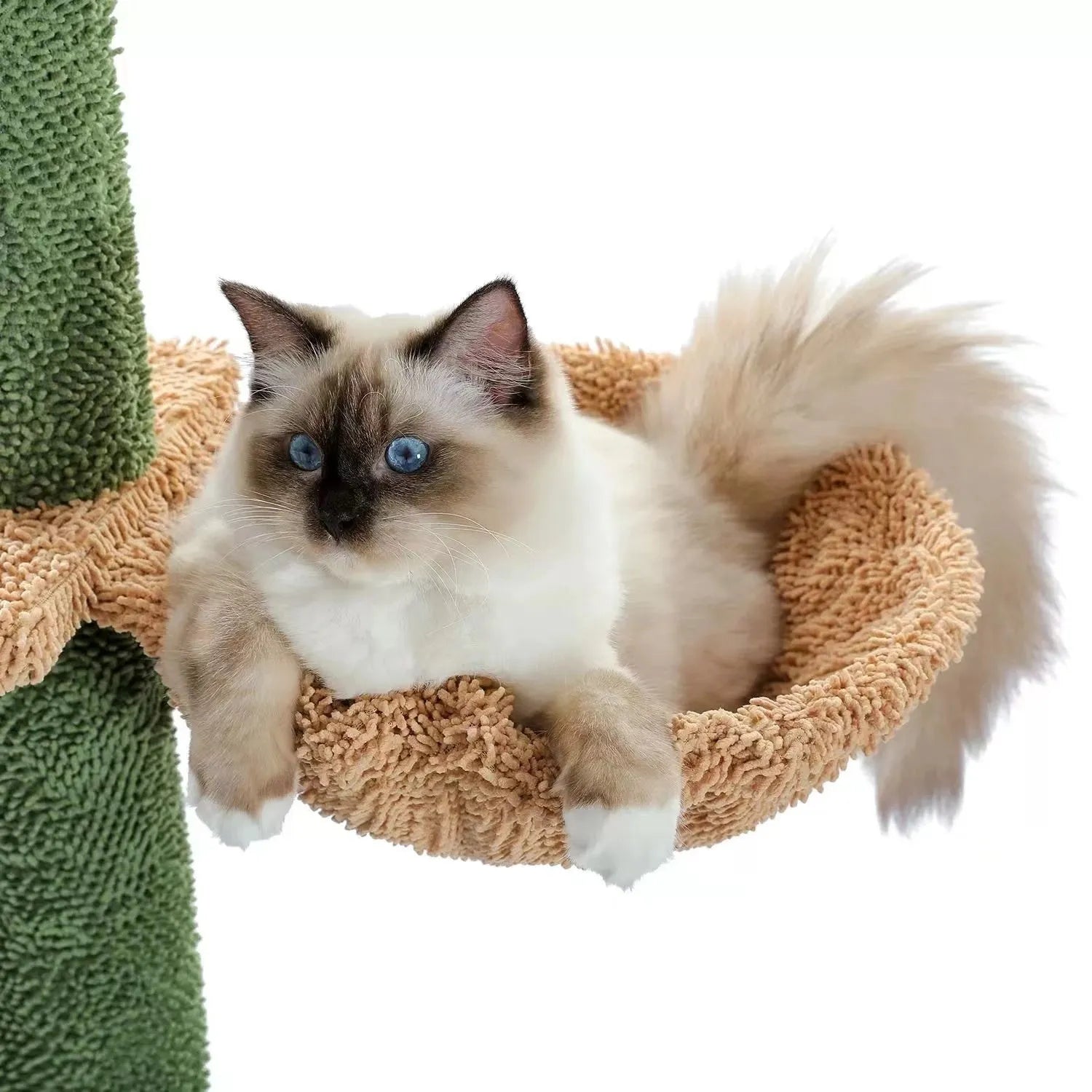 Solid wood cat climbing frame with integrated scratch board measuring 40x25x240cm