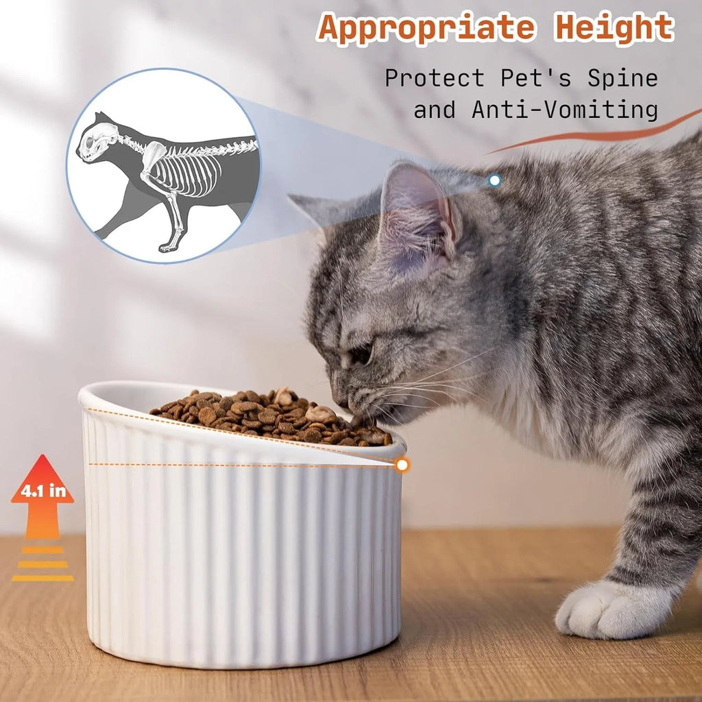 Ceramic elevated cat bowl in green with tilted round shape and raised feeding height