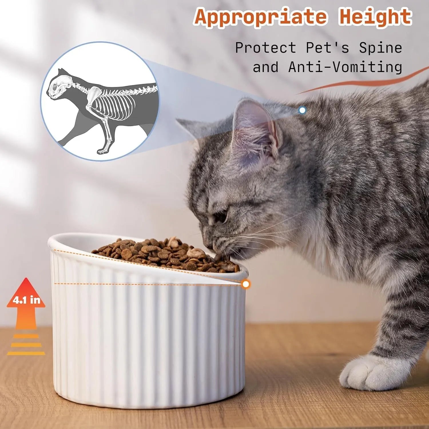 Ceramic elevated cat bowl in green with tilted round shape and raised feeding height