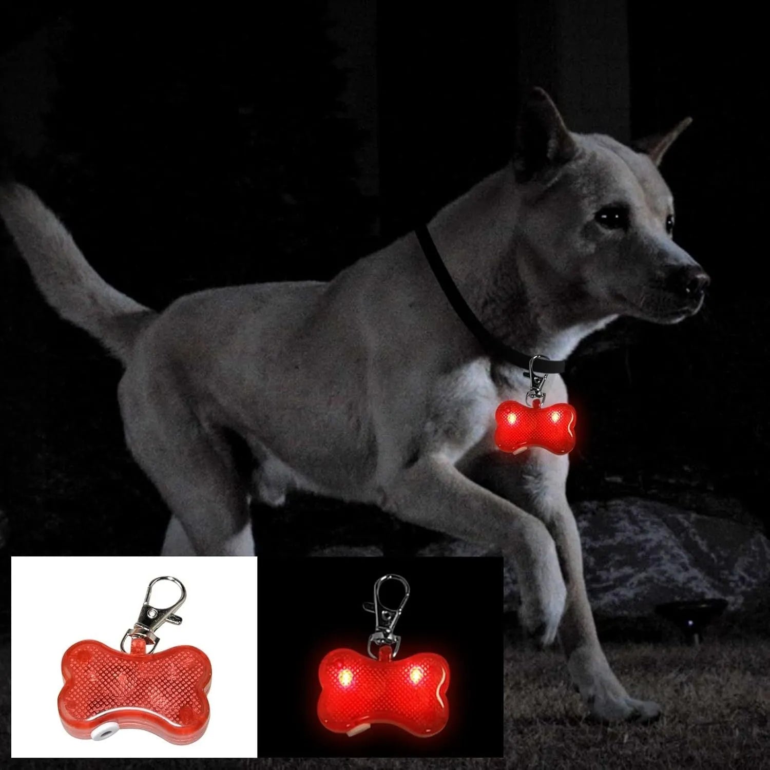 Blue bone-shaped LED luminous pendant attached to a black cat collar showing a steady white light.
