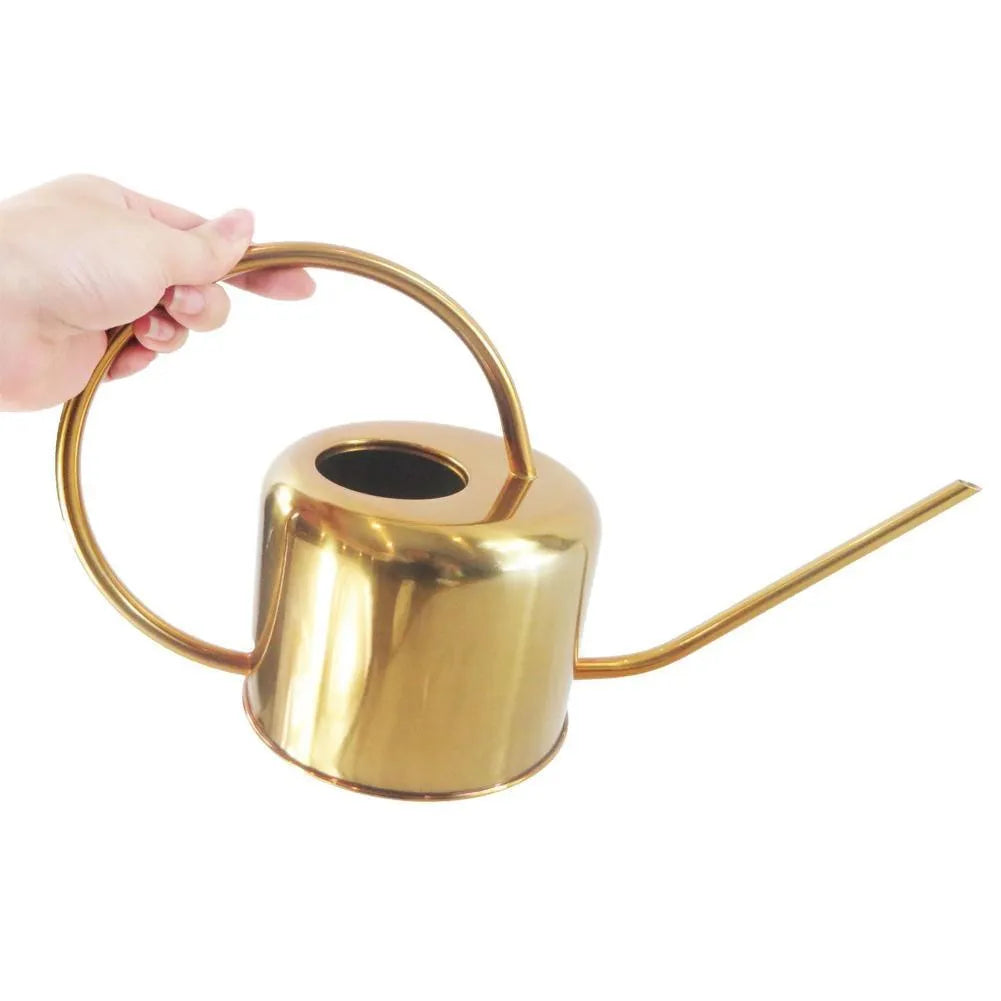 Stainless steel 2 litre watering can with long spout for garden watering