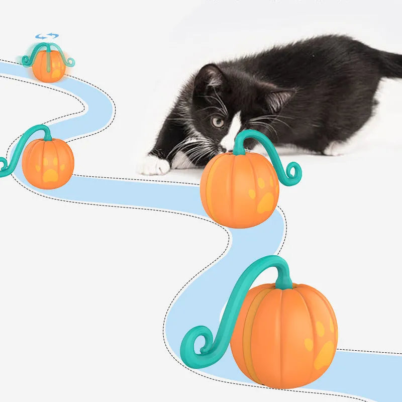 Electric luminous cat teaser ball in watermelon or pumpkin design with USB charging