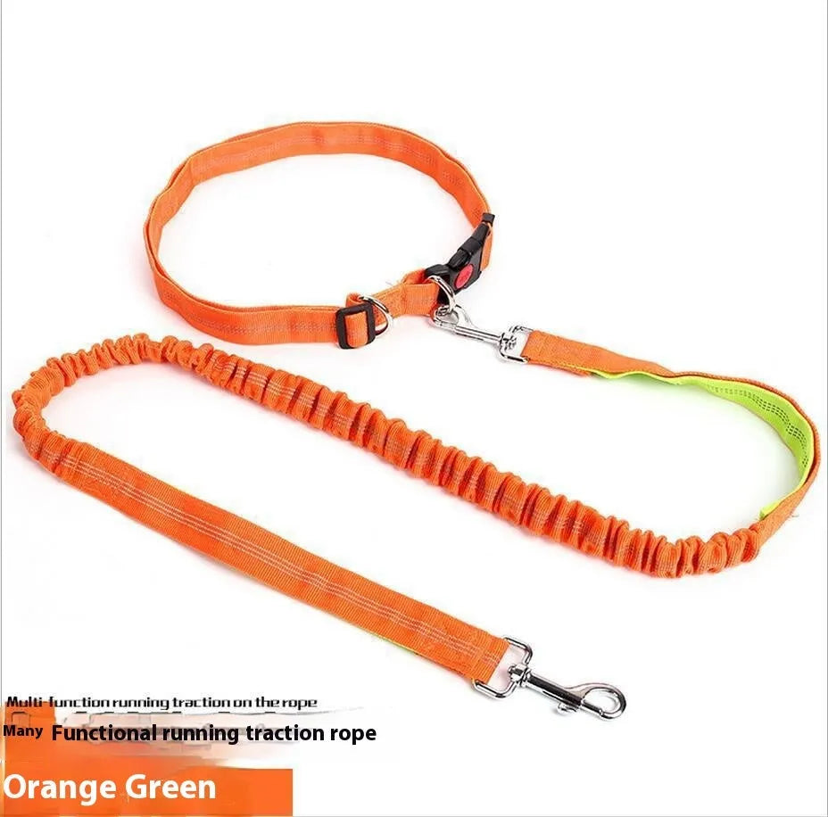 Grey and green two-tone nylon dog leash with reflective strip, showing 2.5cm width and clip.