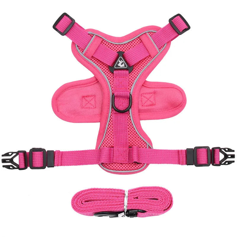 Anti-breakaway cat harness set with 1.5m flat rope lead and silver chain in green, grey, and rose red colours