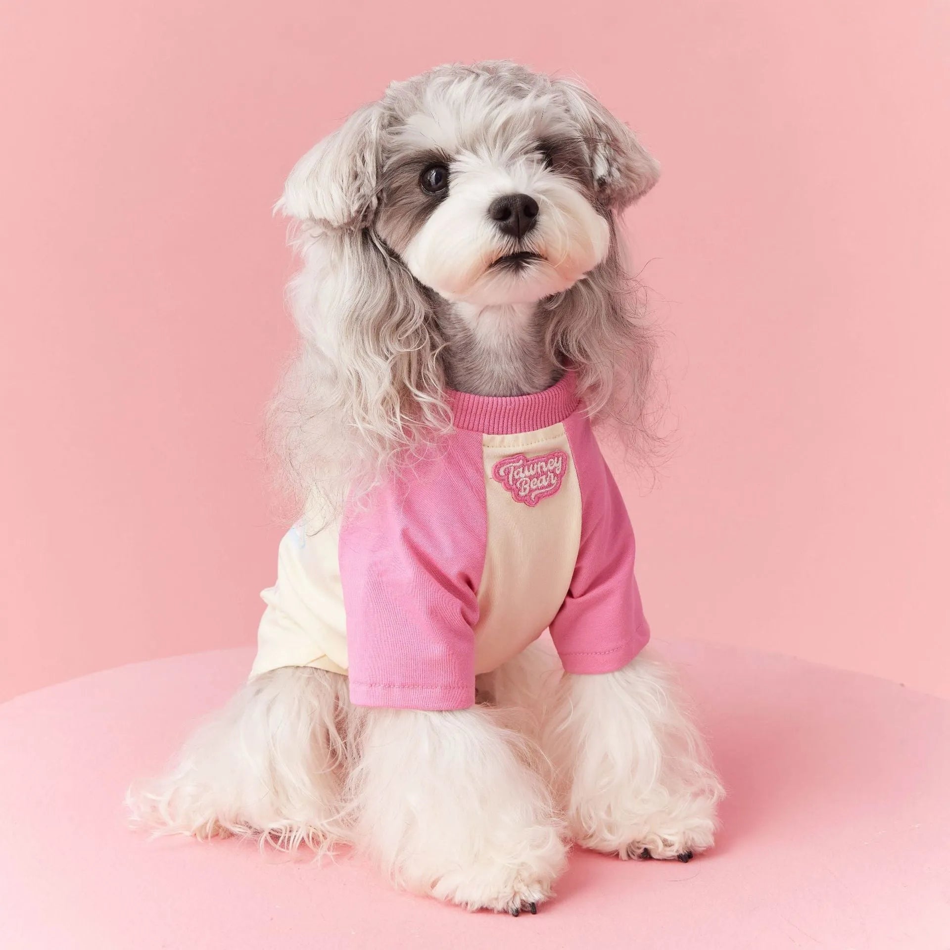 Red embroidered cotton dog summer vest showing contrast colour detailing and handsome styling