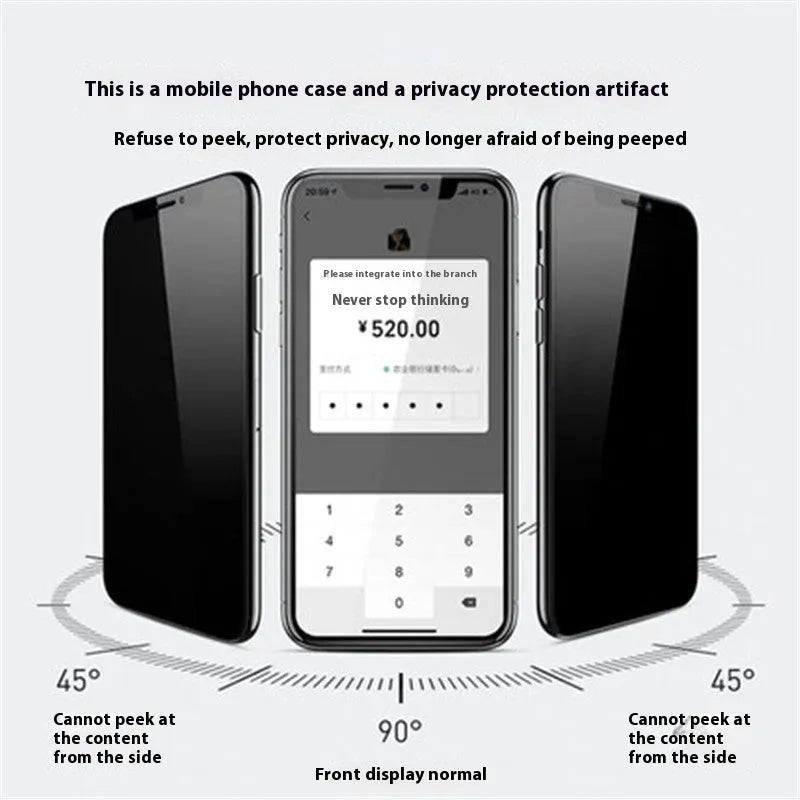 Magnetic double-sided peep-proof glass phone case in black for iPhone 13 to 16 series with metal frame