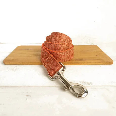 Double-layer thick polyester pet leash with adjustable metal buckle on a neutral background