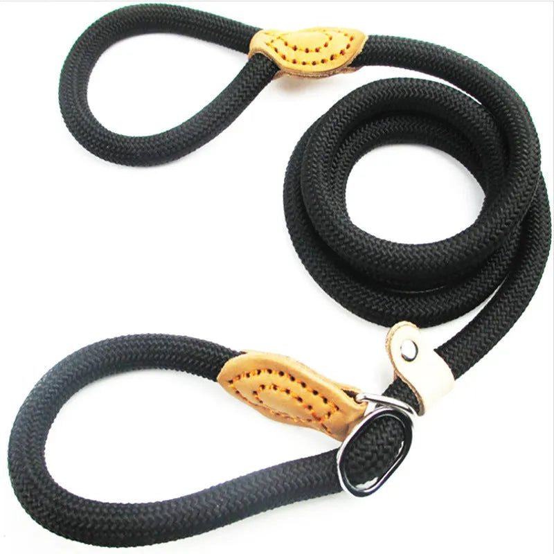 Brown nylon dog leash with P-chain hand holding rope showing 2.1 metre length