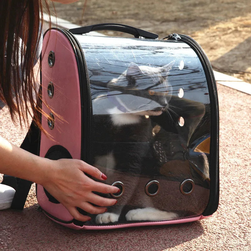 Folding transparent pet backpack in black, made from food-grade PC, carrying a small cat.