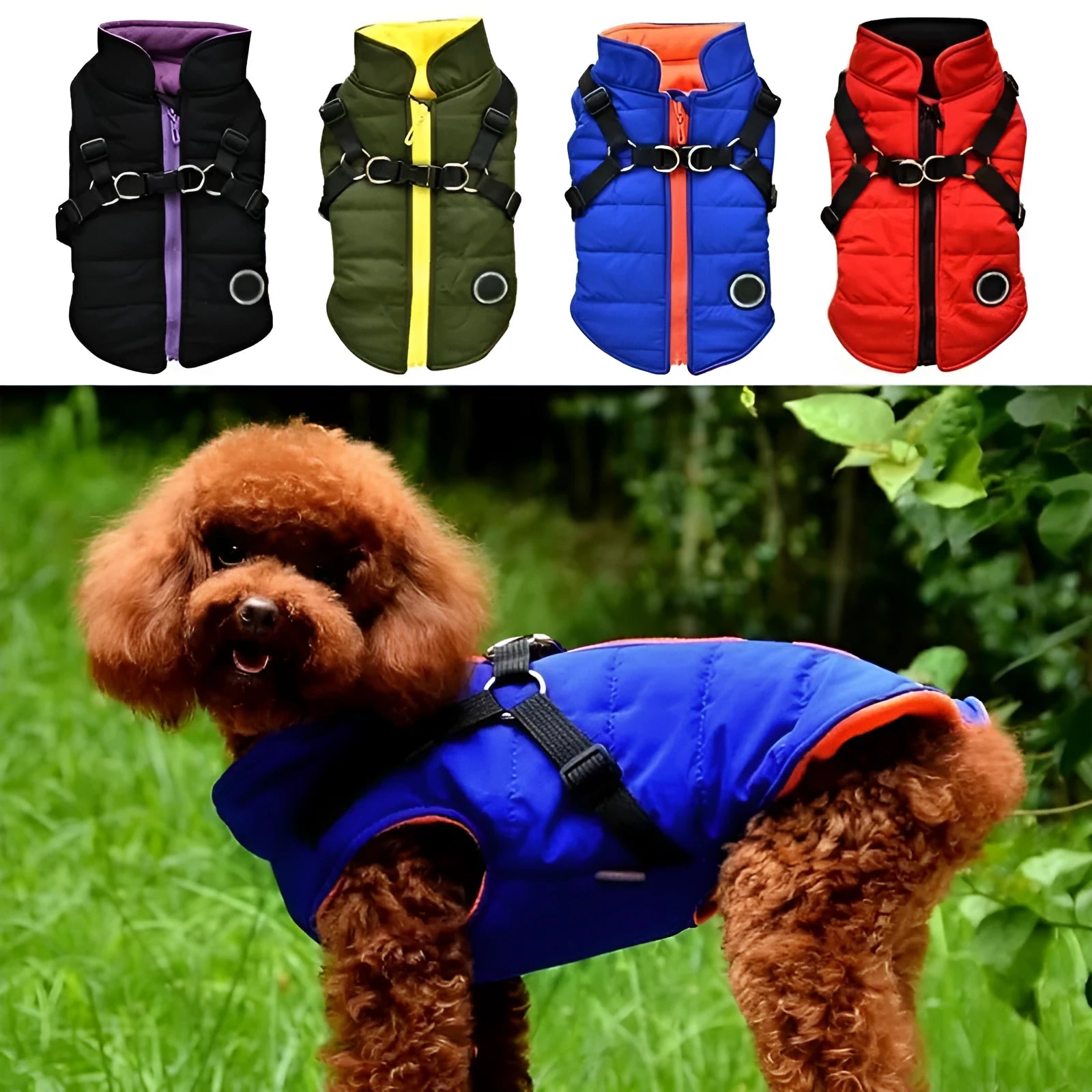 Dog zipper jacket with front zipper and leash harness opening in black