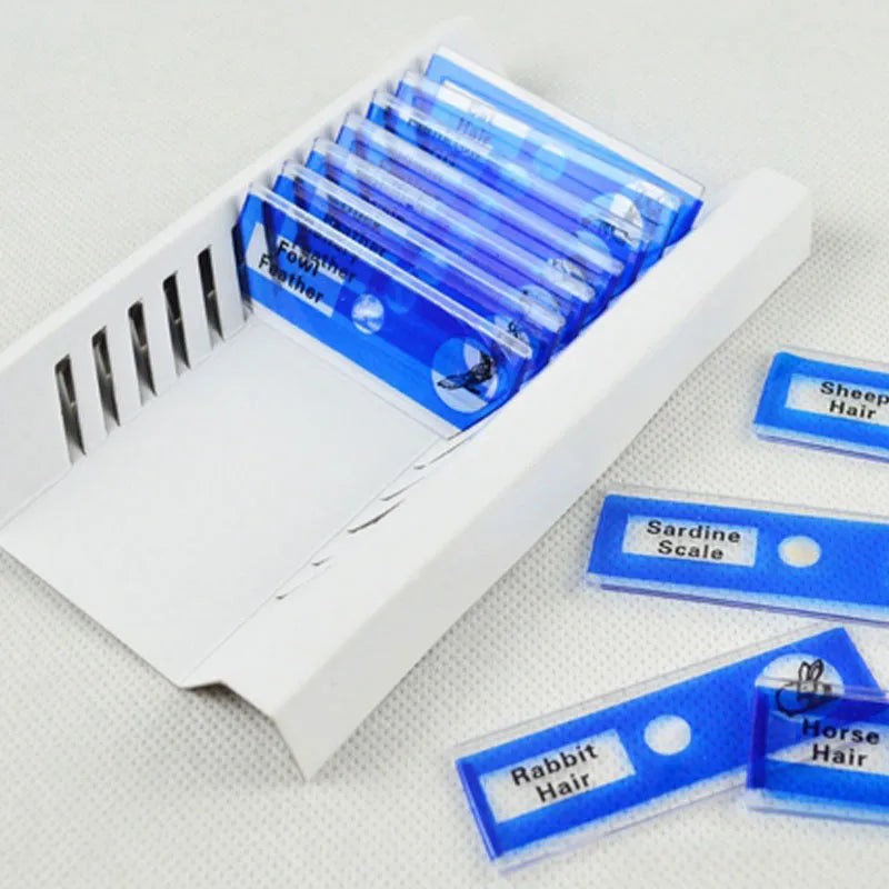 Children's plastic microscope slide set with colour-coded boxes containing plant and animal specimens