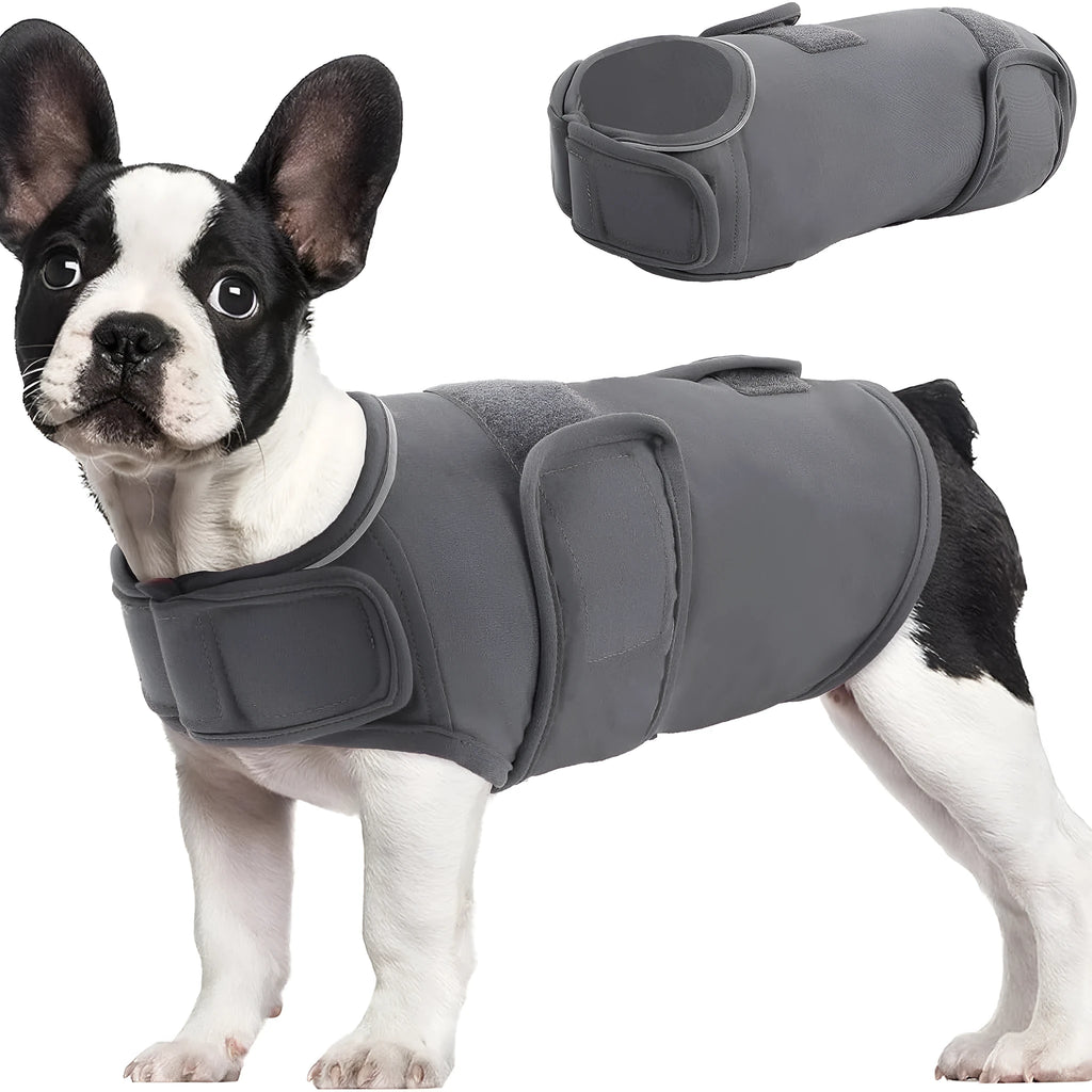 Grey dog anxiety vest with adjustable straps, shock protection features, worn by a small dog, sizes XS-XXXL available
