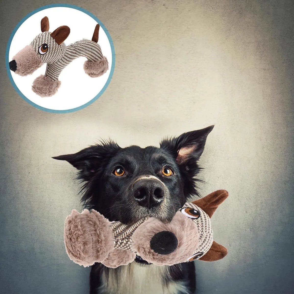 Plush squeaky dog toy for medium and large dogs, available in Monkey or Puppy design.