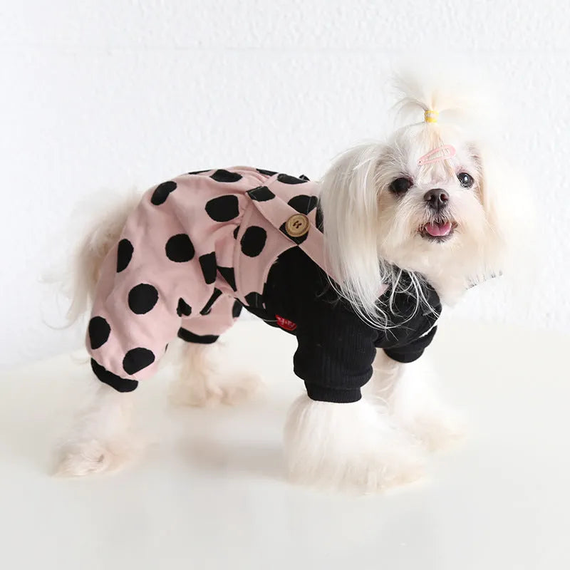 Petstyle lapel shoulder strap dog clothes in casual cloth on a model dog