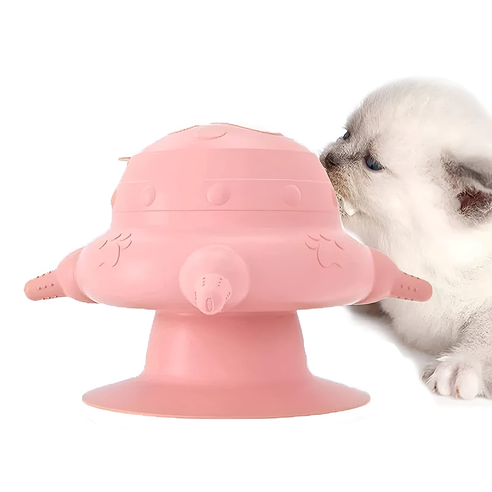 Pink silicone pet nursing bottle with milk bowl and pacifier for puppies and kittens
