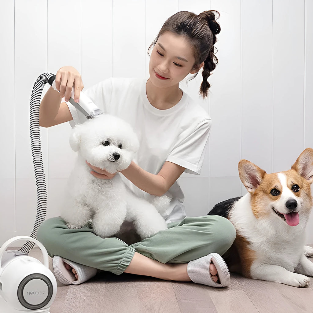 White and green ABS dog grooming tool with 9000Pa suction, 1000ml dust box, 1.3m hose, and comb attachments