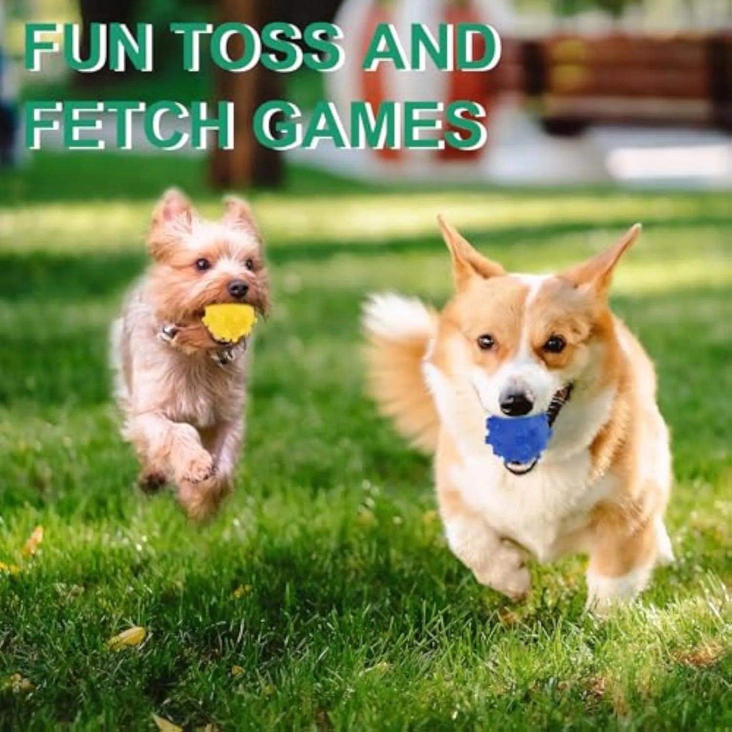 Four bright spiked squeaky dog balls in blue, green, pink, and yellow for small breed puppies.