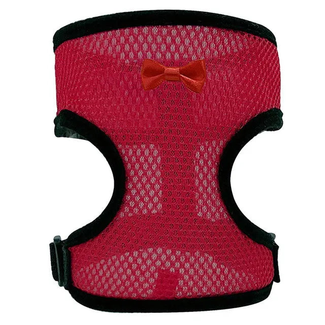 Poultry harness vest set with matching collar and bow tie in multiple colours for chickens and ducks