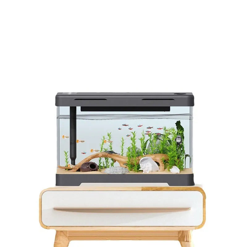 Small acrylic fish tank in classic black, transparent body, sizes 300 to 450, lazy design.