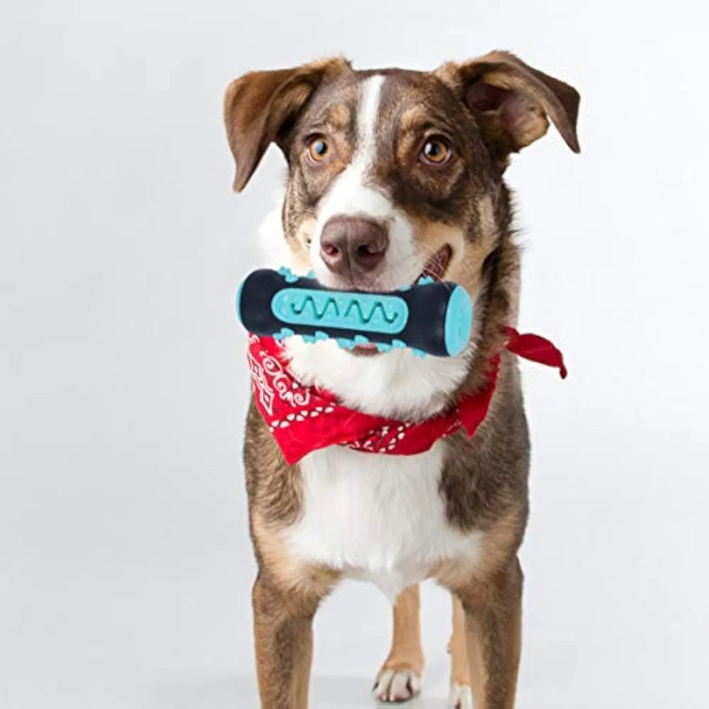 Natural rubber dog dental chew toy in blue, green, yellow, and black blue colours.
