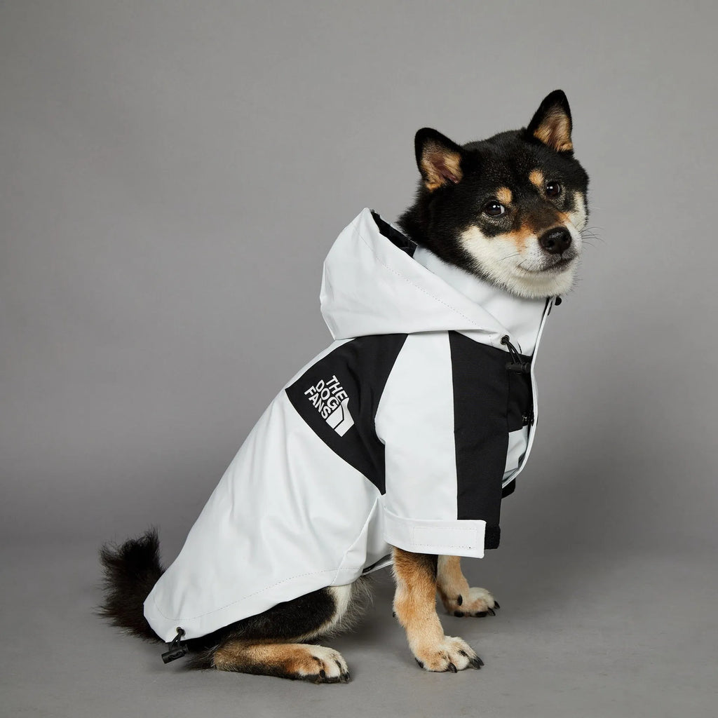 Light green windproof rainproof large dog raincoat in polyester with adjustable fit for sizes S to 5XL
