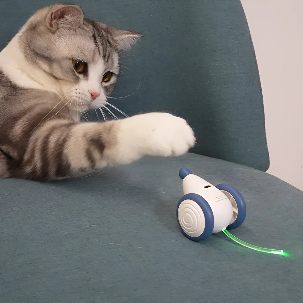 Electric cat mouse toy in blue or yellow, 60x50x36mm, USB rechargeable 135mAh, ABS TPU PVC