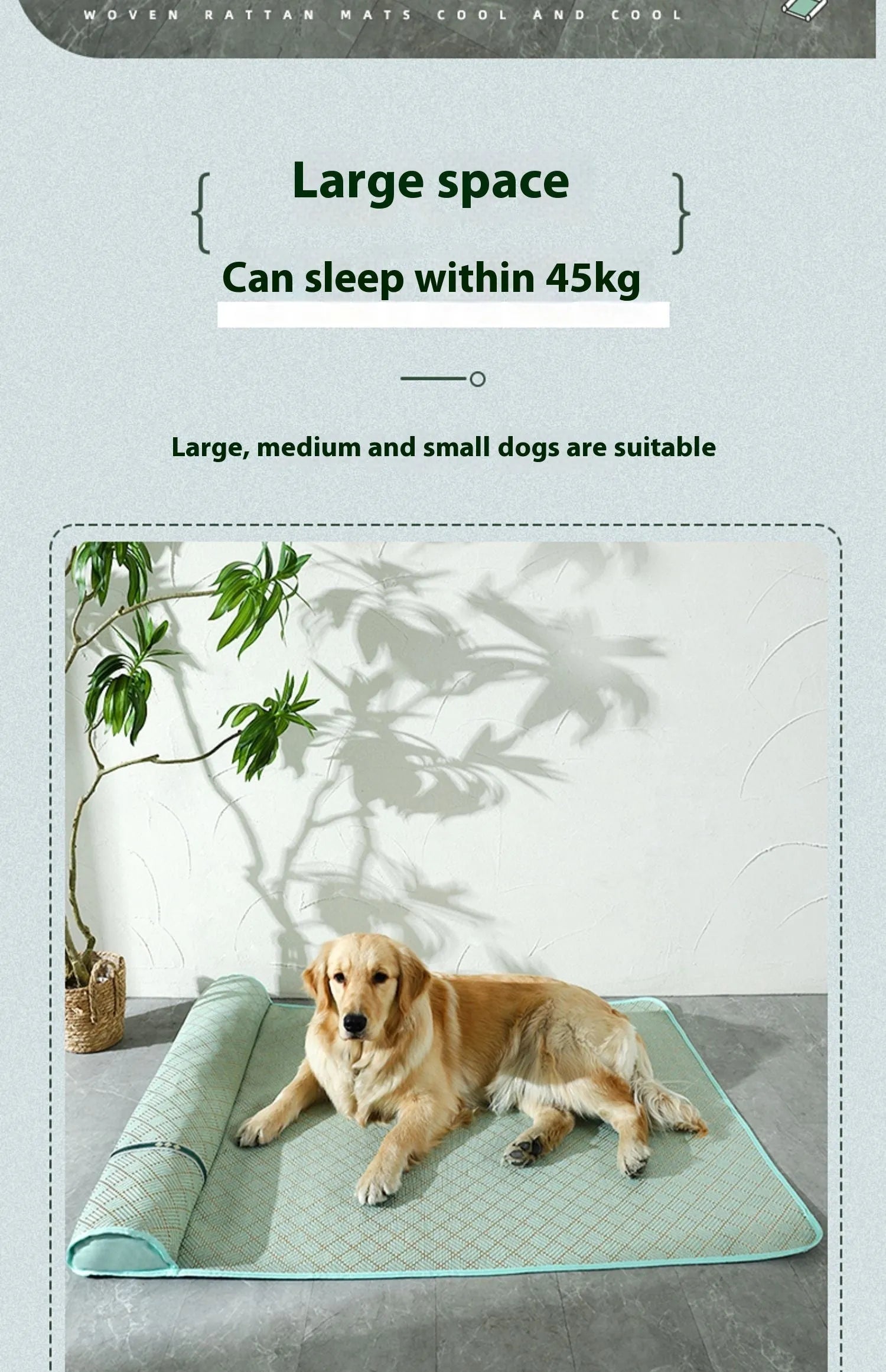 Large dog mat kennel in Golden Green with raised pillow edge for summer cooling