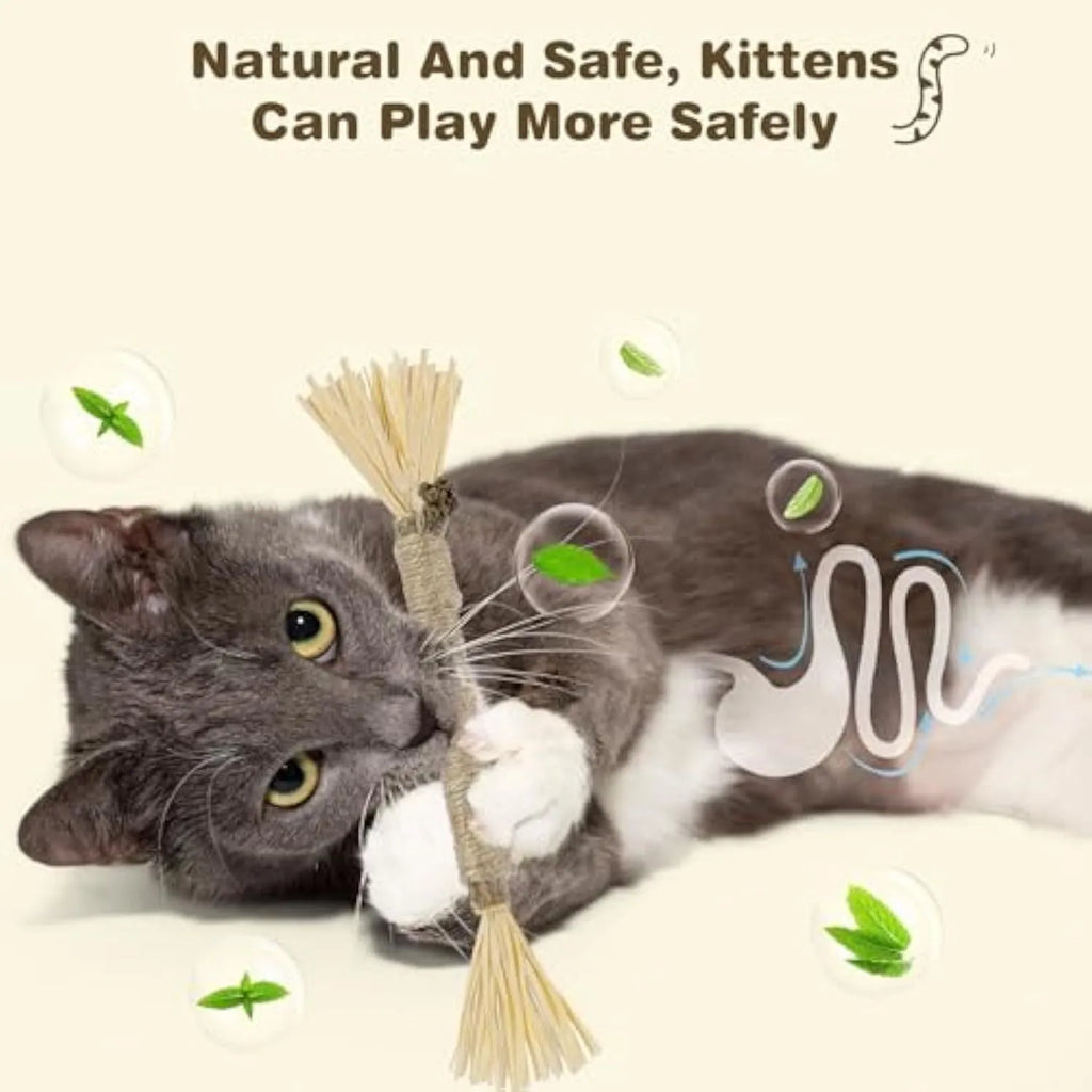Pack of three natural silvervine chew sticks for cats with sisal rope and raffia texture