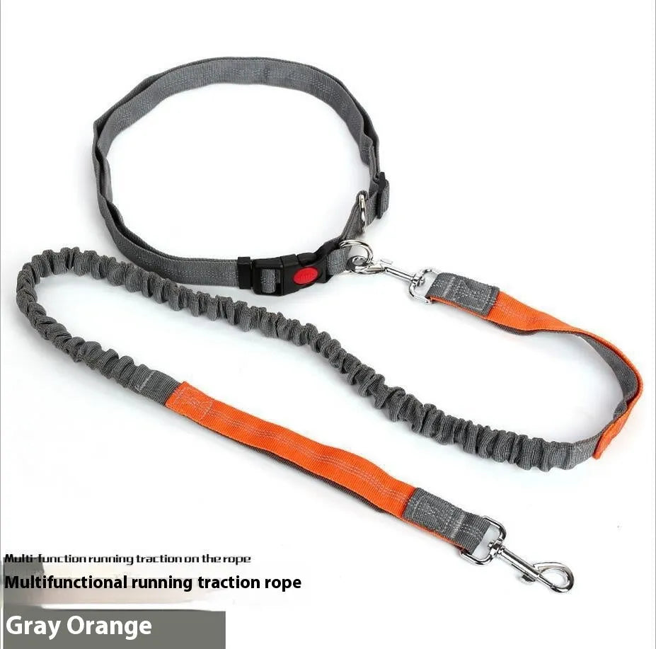 Grey and green two-tone nylon dog leash with reflective strip, showing 2.5cm width and clip.