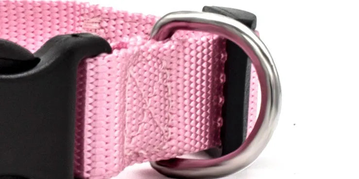 Soft nylon pet collar with plastic buckle and metal D ring, available in multiple colours and sizes