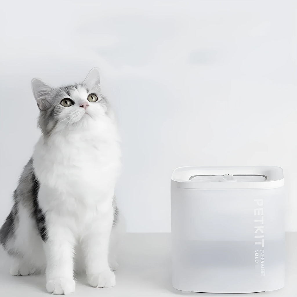 Xiaopei SOLO2 automatic pet water dispenser with filter for dogs and cats