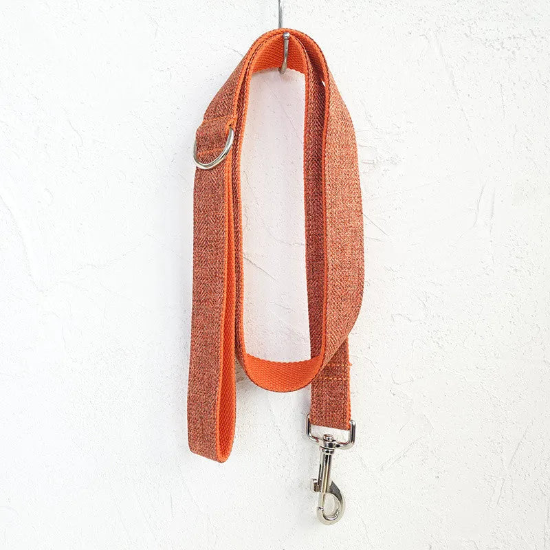 Double-layer thick polyester pet leash with adjustable metal buckle on a neutral background