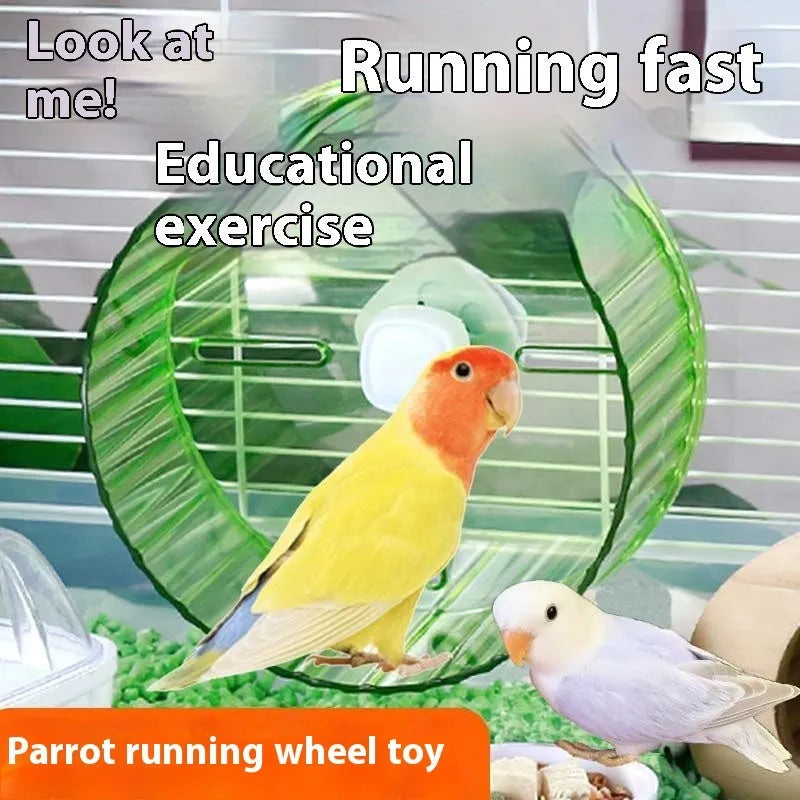 Plastic parrot exercise wheel toy in transparent colour showing rotating mechanism for bird activity