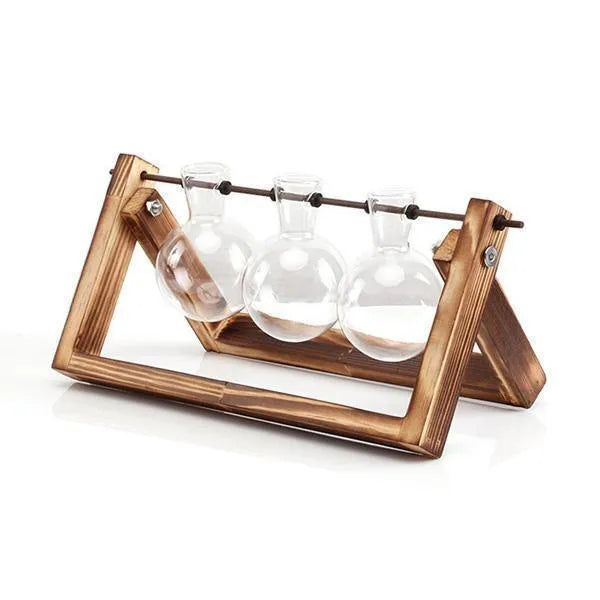 Glass plant terrarium with wooden stand geometric shape Chinese style for desk decoration
