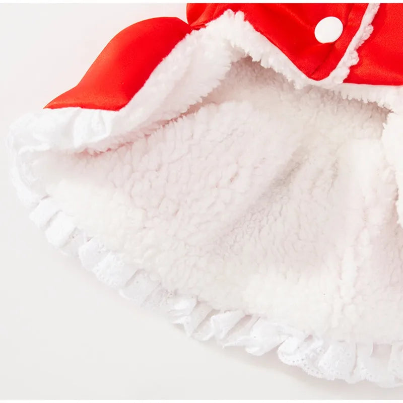 Lion Dance Pet Outfit red cotton-padded dog costume with embroidery and tassels for New Year