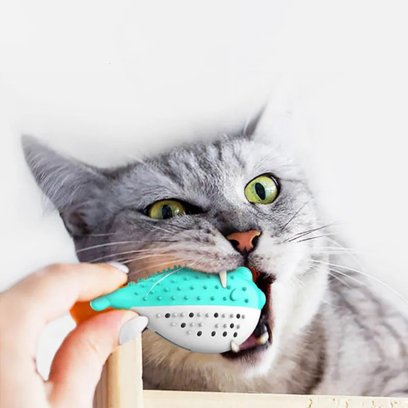 Silicone fish-shaped chew toy for cats in four colours: blue, green, pink, and yellow.