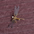 Golden dragonfly-shaped side clip headdress for women with electroplated alloy construction