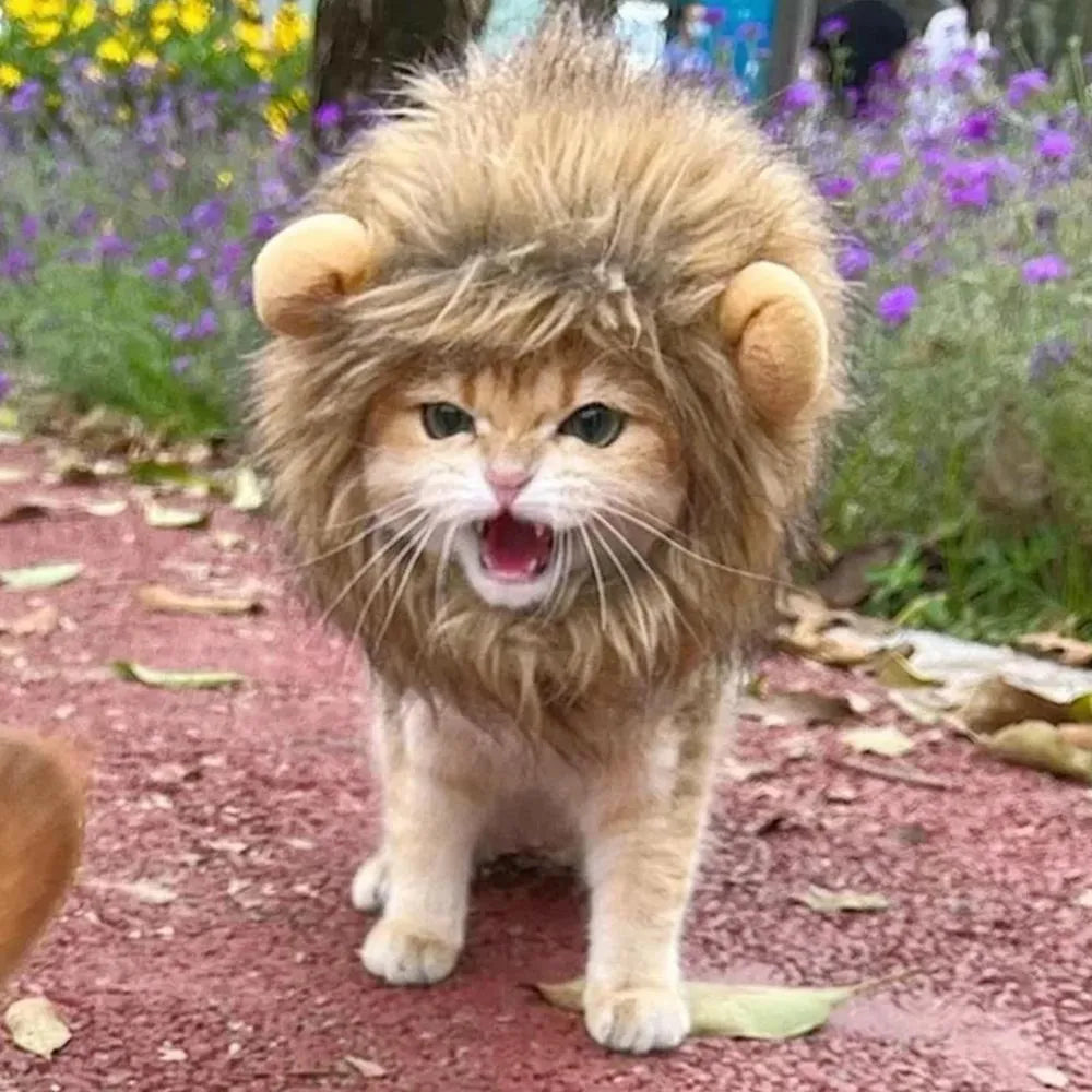 Lion mane wig accessory on cat with adjustable elastic band and fluffy artificial hair