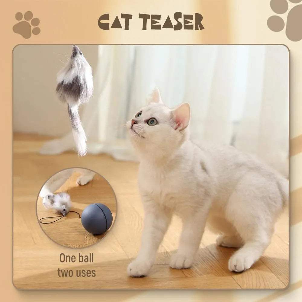 Interactive automatic self-rolling cat ball toy in Blue Orange color, wear-resistant material