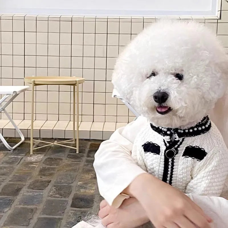 Korean style white puppy sweater with pearl collar on small dog