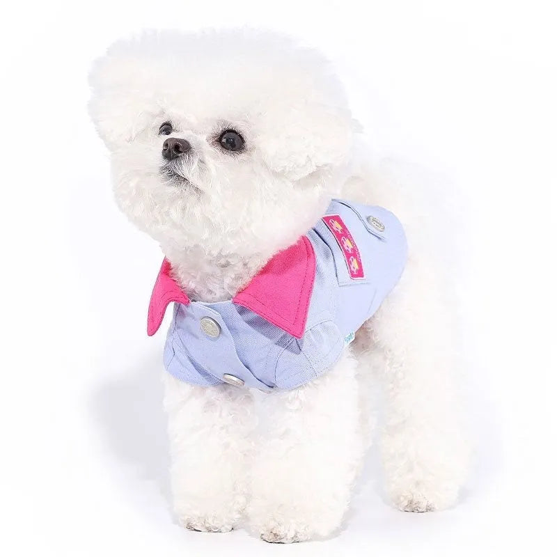 Blue and purple polyester dog harness with traction rope ring for small dogs, showing size options