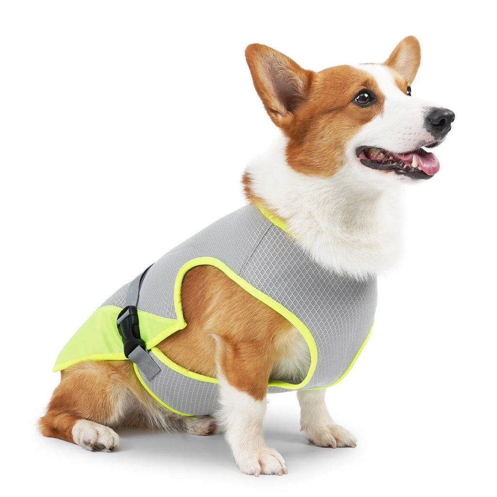 Light grey breathable mesh dog cooling vest for heatstroke prevention on a medium-sized dog