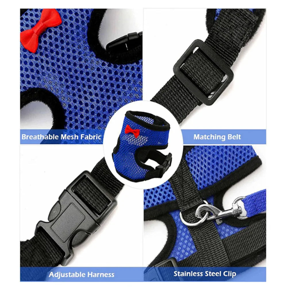 Poultry harness vest set with matching collar and bow tie in multiple colours for chickens and ducks