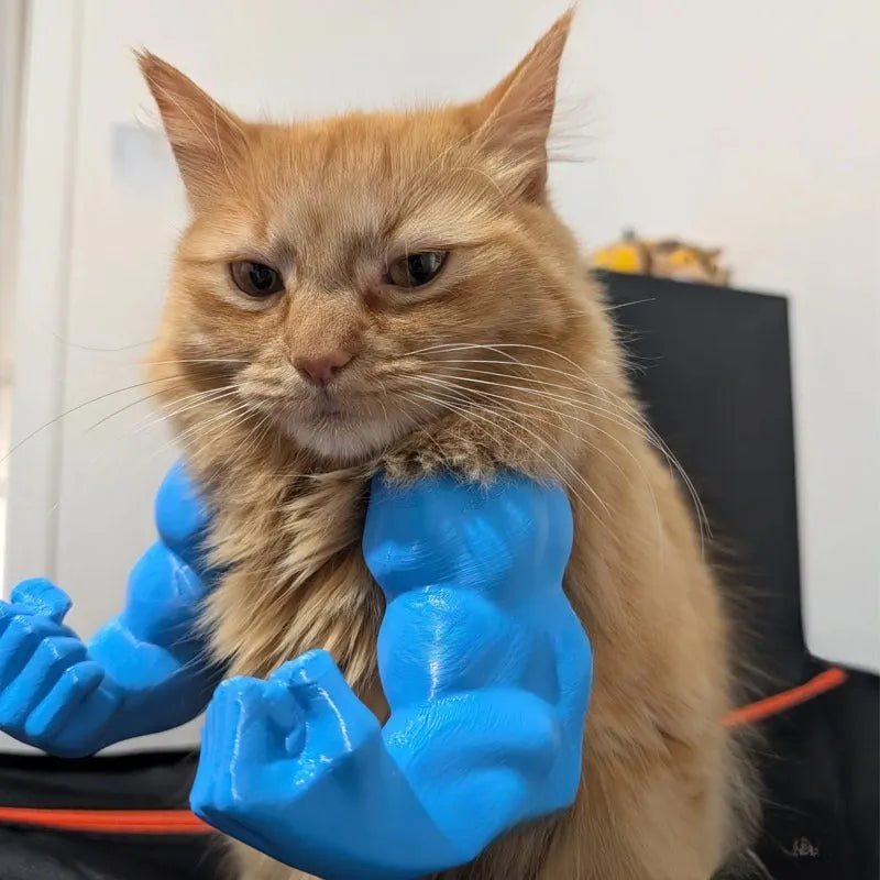Funny muscle hand cat hanging toy in plastic, available in black colour
